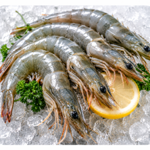 1 KG Premium Shrimp